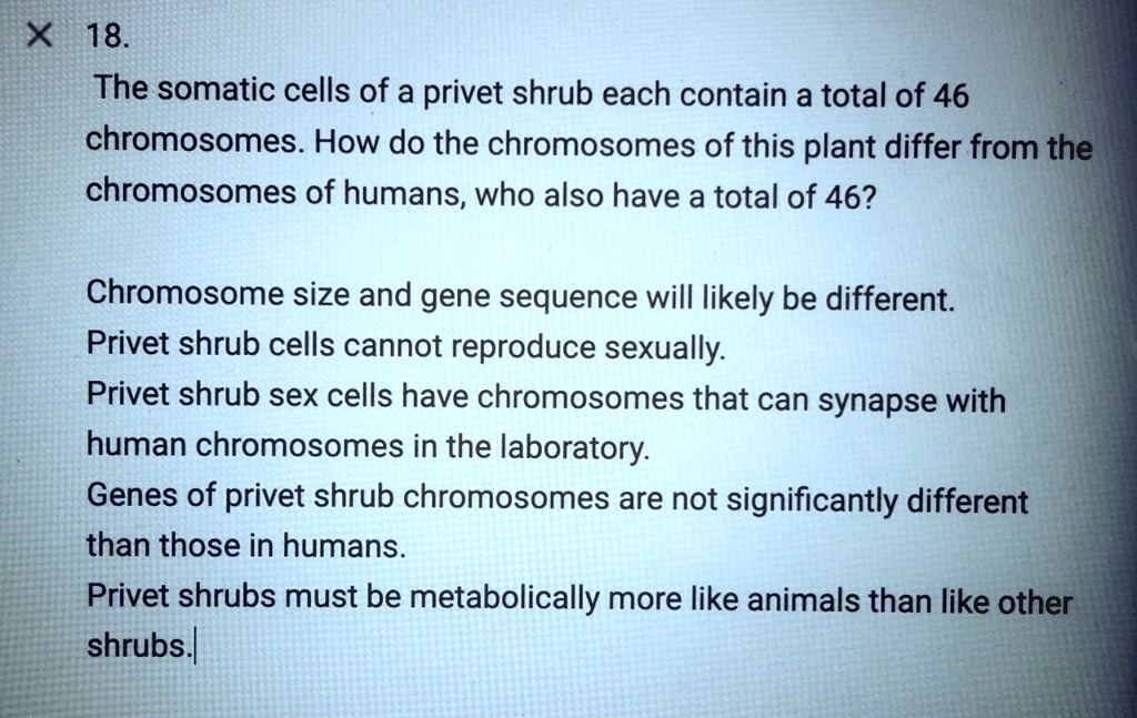 SOLVED 18. The somatic cells of a privet shrub each contain a total of