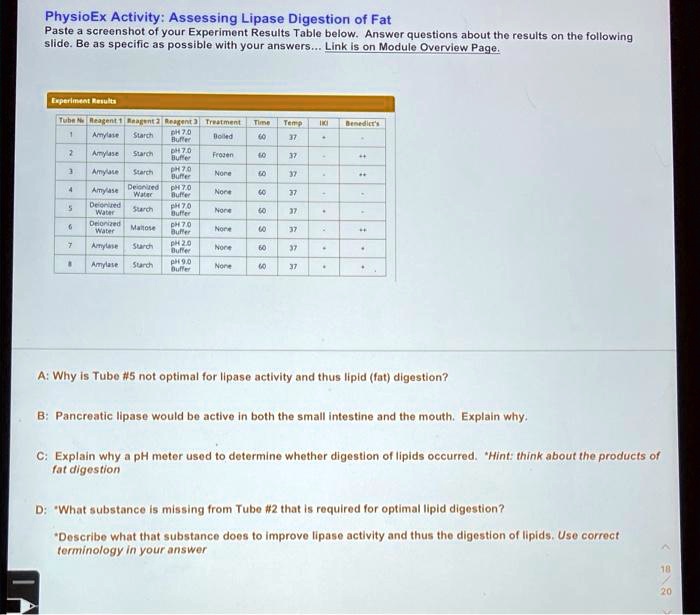 SOLVED I need help with this! PhysioEx Activity Assessing Lipase