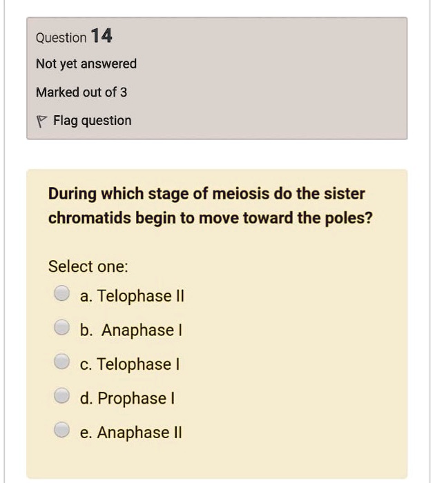 During which stage of meiosis do the sister chromatids begin to move toward the poles?
Select one:
a. Telophase II
b. Anaphase I
c. Telophase I
d. Prophase I
e. Anaphase II