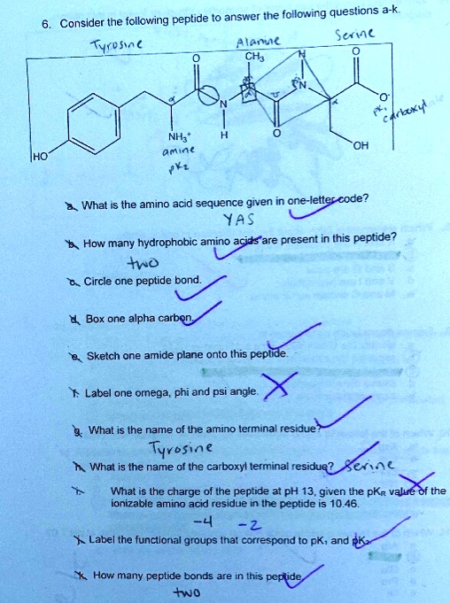 Hydrophobic amino acids letter code unpassa