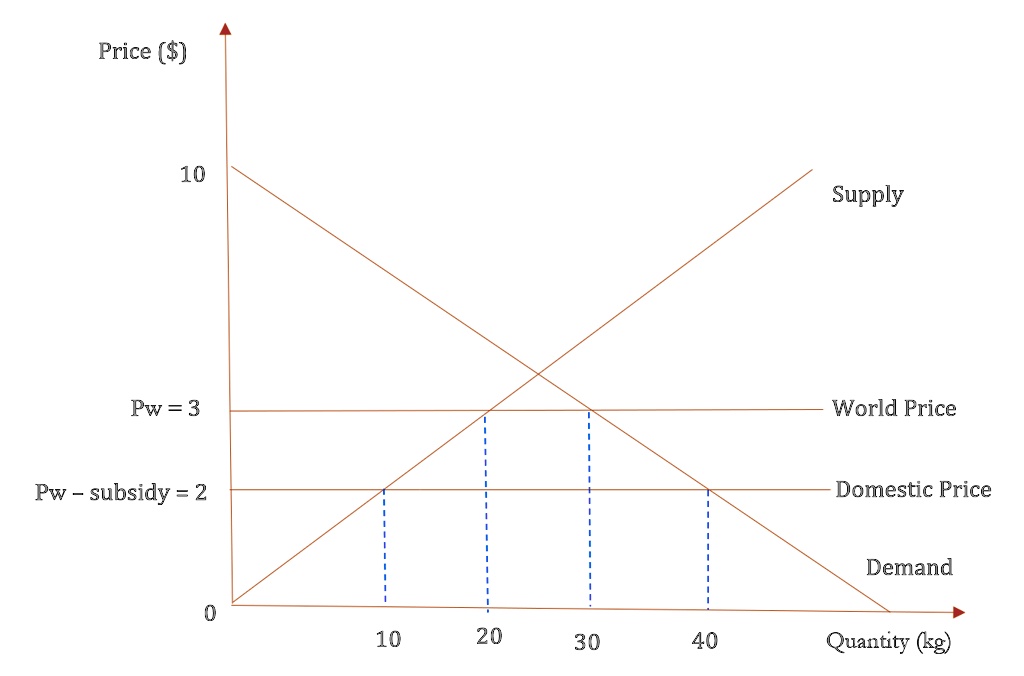 Import Subsidy An import subsidy means that importers receive an extra