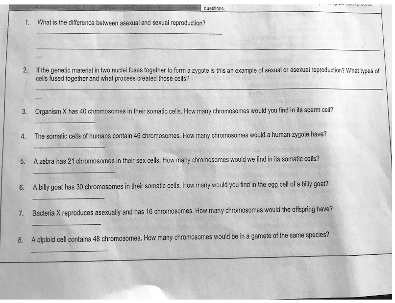 1. What is the difference between asexual and sexual reproduction?
2. If the genetic material in two nuclei fuses together to form a zygote is this an example of sexual or asexual reproduction? What types of cells fused together and what process created those cells?
3. Organism X has 40 chromosomes in their somatic cells. How many chromosomes would you find in its sperm cell?
4. The somatic cells of humans contain 46 chromosomes. How many chromosomes would a human zygote have?
5. A zebra has 21 chromosomes in their sex cells. How many chromosomes would we find in its somatic cells?
6. A billy goat has 30 chromosomes in their somatic cells. How many would you find in the egg cell of a billy goat?
7. Bacteria X reproduces asexually and has 16 chromosomes. How many chromosomes would the offspring have?
8. A diploid cell contains 48 chromosomes. How many chromosomes would be in a gamete of the same species?