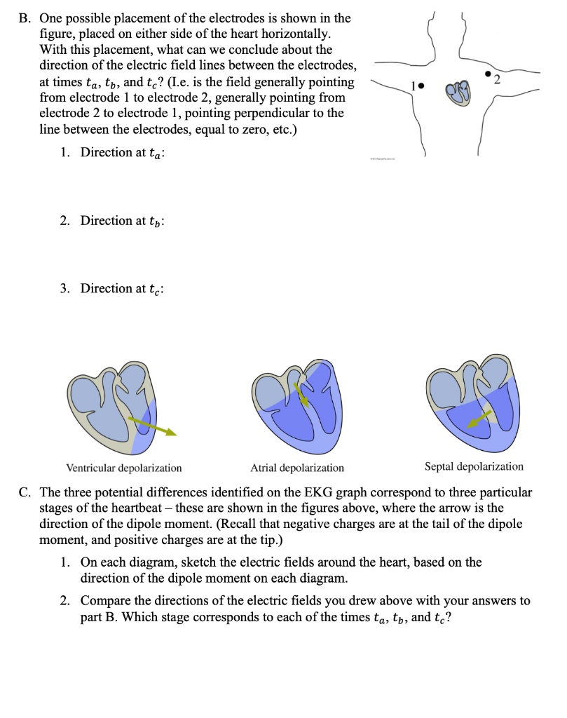 SOLVED: One possible placement of the electrodes is shown in the figure ...