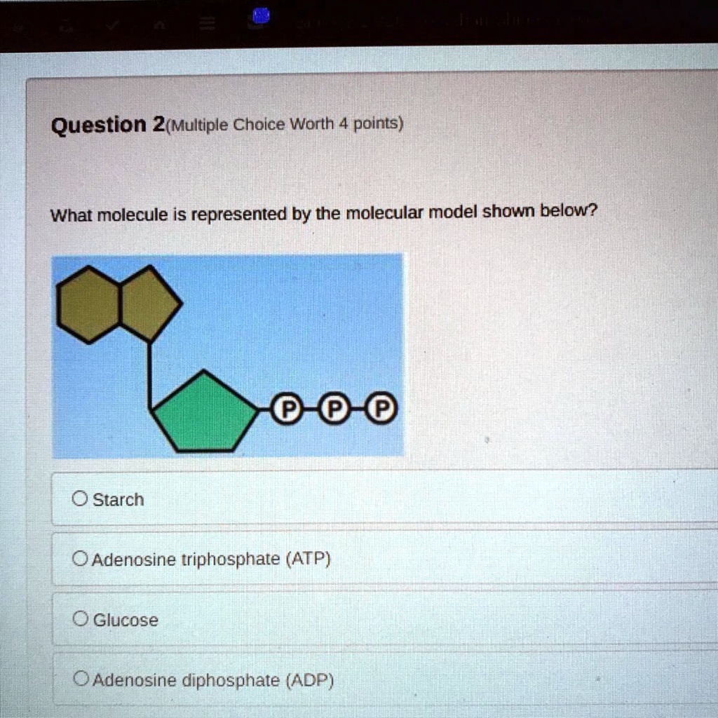 What Type Of Molecule Is Represented By The Model Below SOLVED: What molecule is represented by the molecular model shown below