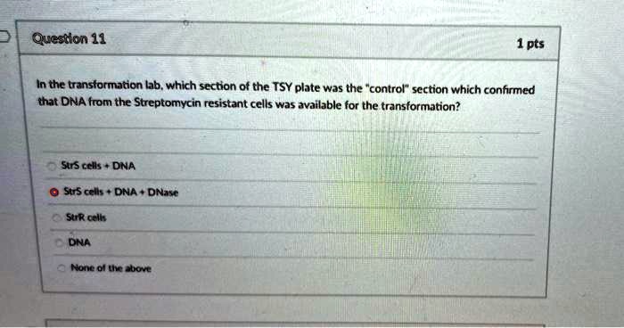 Please help with microbiology. Question 11 1pt In the transformation ...