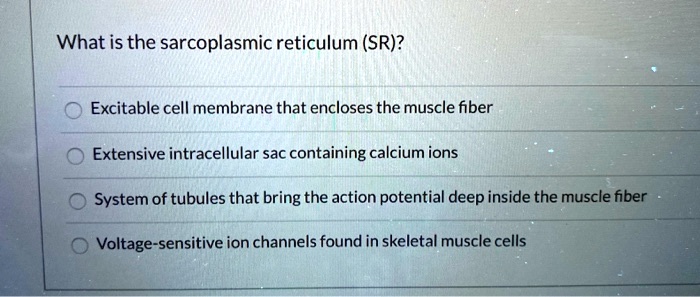 What is the sarcoplasmic reticulum (SR)?
Excitable cell membrane that encloses the muscle fiber
Extensive intracellular sac containing calcium ions
System of tubules that bring the action potential deep inside the muscle fiber
Voltage-sensitive ion channels found in skeletal muscle cells