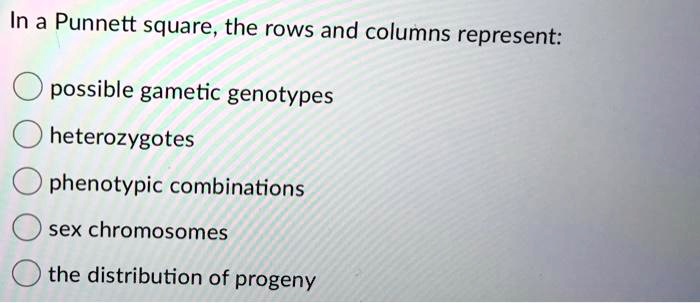 in-a-punnett-square-the-rows-and-columns-represent-p-solvedlib