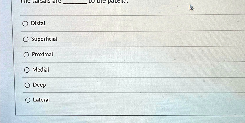 SOLVED: Distal Superficial Proximal Medial Deep Lateral to the patella