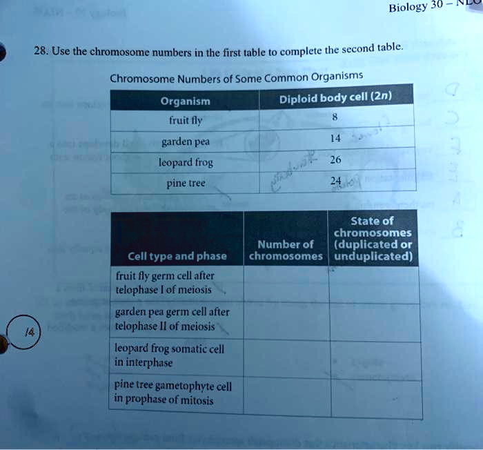 SOLVED Biology 30 28. Use the chromosome numbers in the first table to
