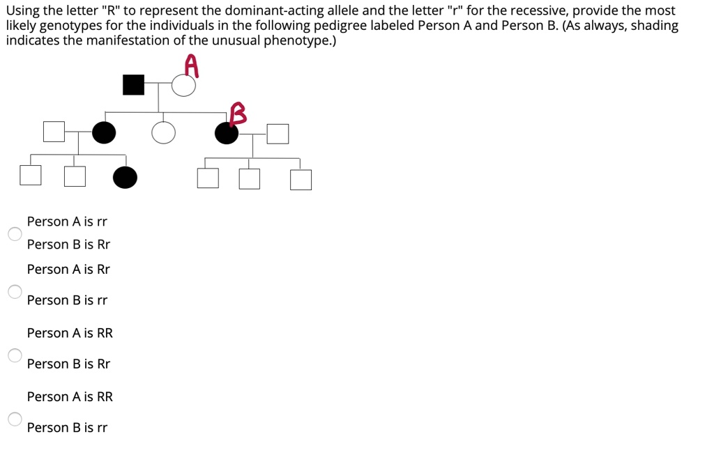 using the letter r to represent the dominant acting allele and the ...