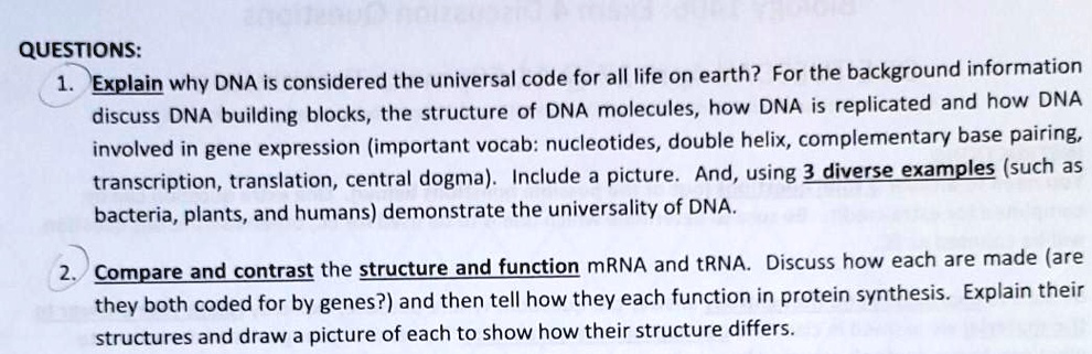 questions explain why dna is considered the universal code for all life ...