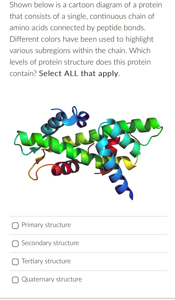 SOLVED: Shown below is a cartoon diagram of a protein that consists of ...