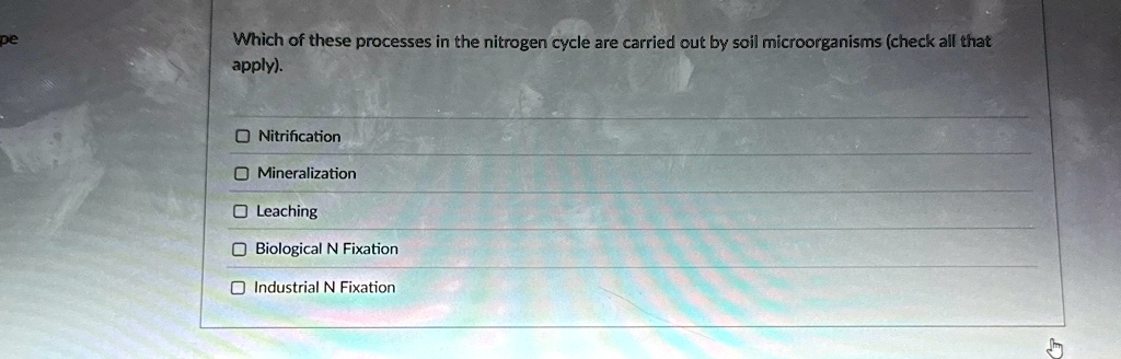 Which of these processes in the nitrogen cycle are carried out by soil microorganisms (check all that apply).

Nitrification
Mineralization
Leaching
Biological N Fixation
Industrial N Fixation
