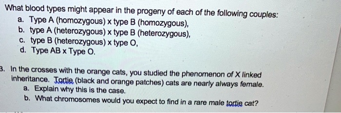 SOLVED: What Blood Types Might Appear In The Progeny Of Each Of The ...