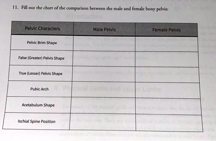 Solved Fill Out The Chart Ofthe Comparison Between The Male And Female Bony Pelvis Pelvic