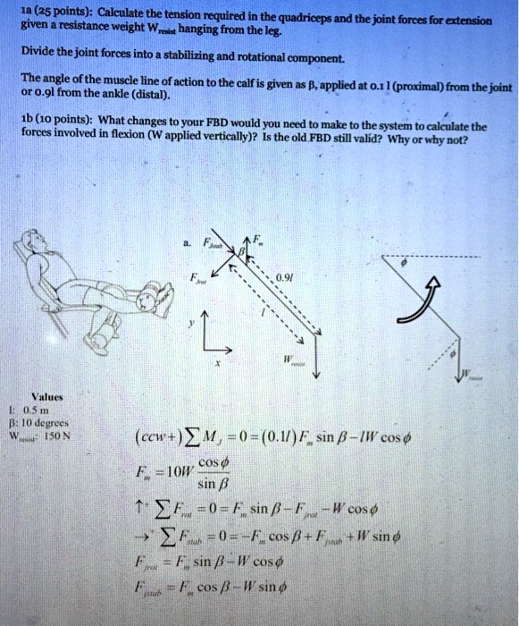 SOLVED Explain step by step 1a 25 points) Calculate the tension