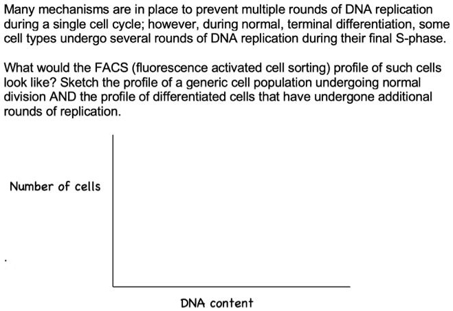 Many mechanisms are in place to prevent multiple rounds of DNA