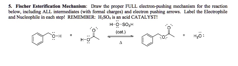 fischer esterification mechanism draw the proper full electron pushing ...
