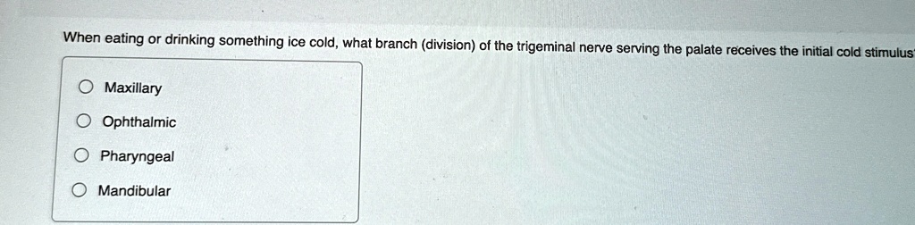 When eating or drinking something ice cold, what branch...