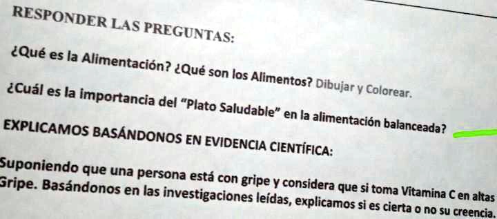 SOLVED: cuál es la importancia del plato saludable en la alimentación