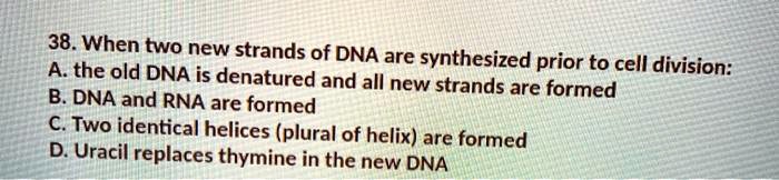 SOLVED: 38. When Two New Strands Of DNA Are Synthesized A. The Old DNA ...