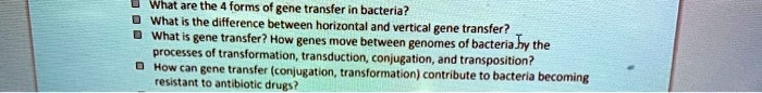 What are the 4 forms of gene transfer in bacteria?
What is the difference between horizontal and vertical gene transfer?
What is gene transfer? How genes move between genomes of bacteria by the processes of transformation, transduction, conjugation, and transposition?
How can gene transfer (conjugation, transformation) contribute to bacteria becoming resistant to antibiotic drugs?