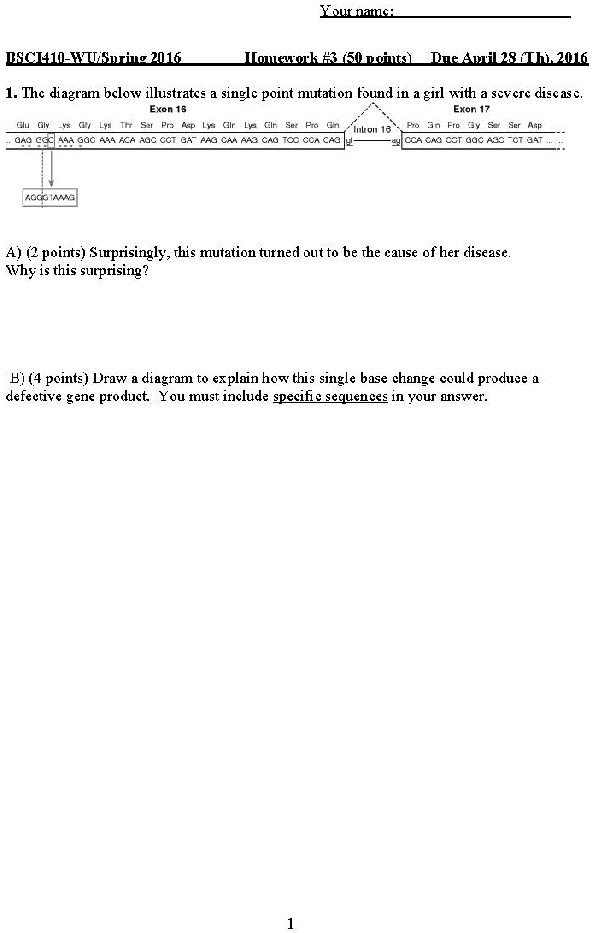 Single Point Mutation Ga ' The diagram below illustrates a single point mutation found in a girl ...