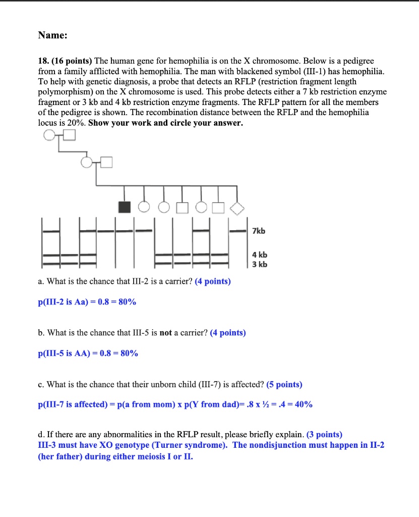 SOLVED 18. (16 points) The human gene for hemophilia is on the X