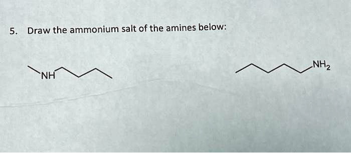 Solved Draw The Ammonium Salt Of The Amines Below Nh Nhz