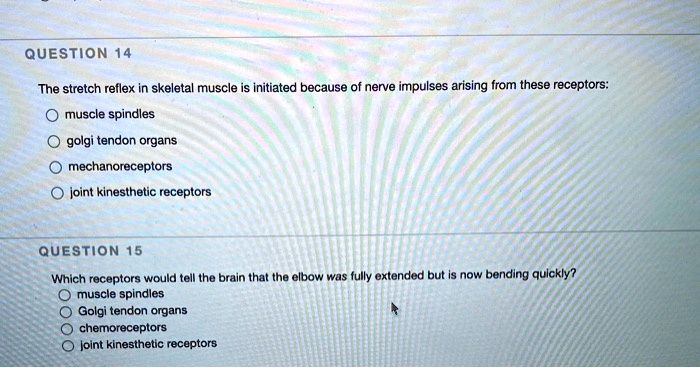 The stretch reflex in skeletal muscle is initiated because of nerve impulses arising from these receptors:
muscle spindles
golgi tendon organs
mechanoreceptors
joint kinesthetic receptors
Which receptors would tell the brain that the elbow was fully extended but is now bending quickly?
muscle spindles
Golgi tendon organs
chemoreceptors
joint kinesthetic receptors