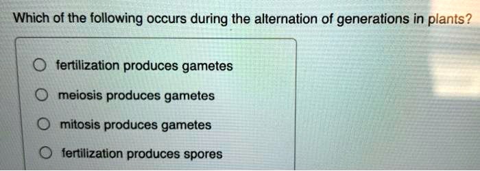 Which of the following occurs during the alternation of generations in plants?
fertilization produces gametes
meiosis produces gametes
mitosis produces gametes
fertilization produces spores