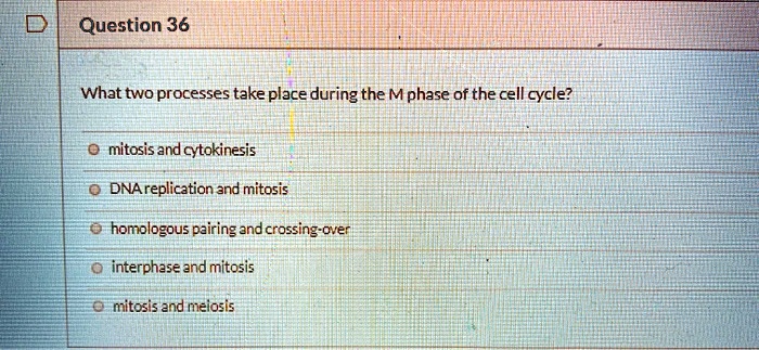 Mphase question 36 what two processes take place during the mphase of the cell ...