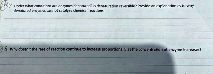 7 Under what conditions are enzymes denatured? Is denaturation reversible? Provide an explanation as to why denatured enzymes cannot catalyze chemical reactions.

8 Why doesn't the rate of reaction continue to increase proportionally as the concentration of enzyme increases?