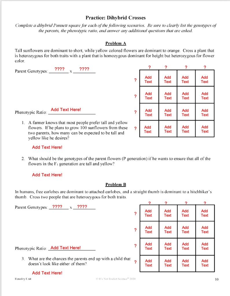 SOLVED:Practice: Dihybrid Crosses Complete dlihybrid Puett square With Dihybrid Cross Worksheet Answers