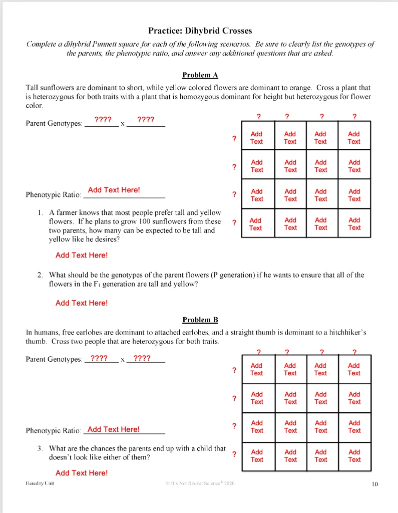 Dihybrid Punnett Square Practice Dihybrid Punnett Squ