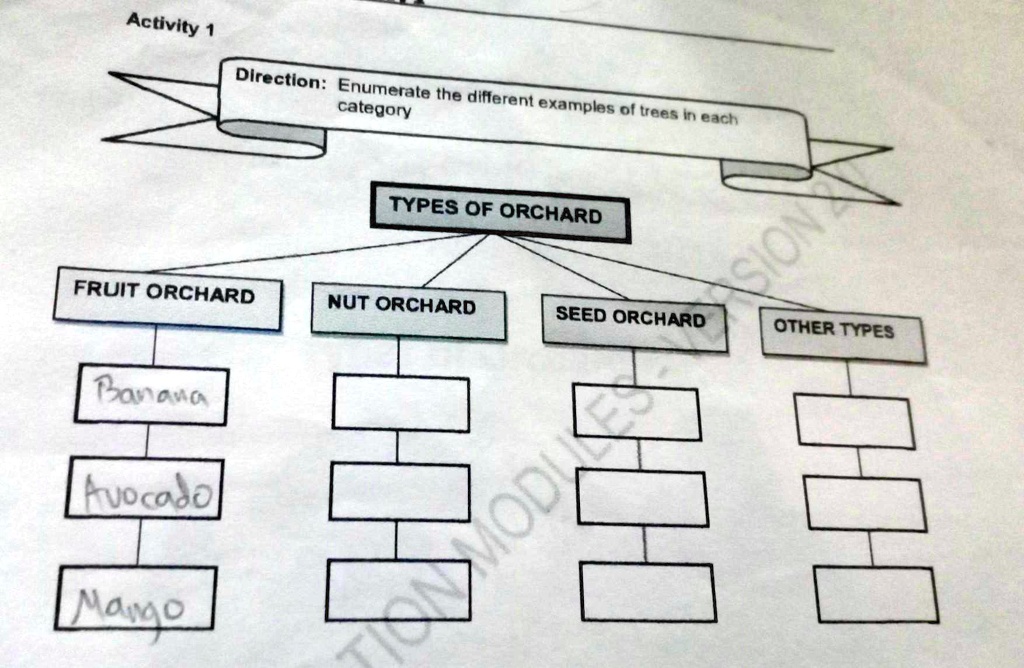 SOLVED Please answer this question. Direction Enumerate the different