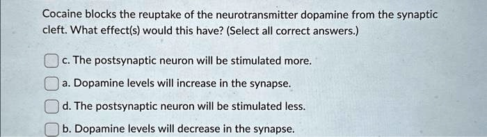 Cocaine blocks the reuptake of the neurotransmitter dopamine from the synaptic
cleft. What effect(s) would this have? (Select all correct answers.)
c. The postsynaptic neuron will be stimulated more.
a. Dopamine levels will increase in the synapse.
d. The postsynaptic neuron will be stimulated less.
b. Dopamine levels will decrease in the synapse.