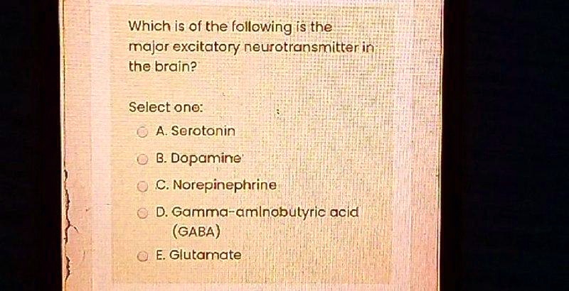 Which is of the following is the
major excitatory neurotransmitter in
the brain?
Select one:
A. Serotonin
B. Dopamine
C. Norepinephrine
D. Gamma-aminobutyric acid
(GABA)
E. Glutamate