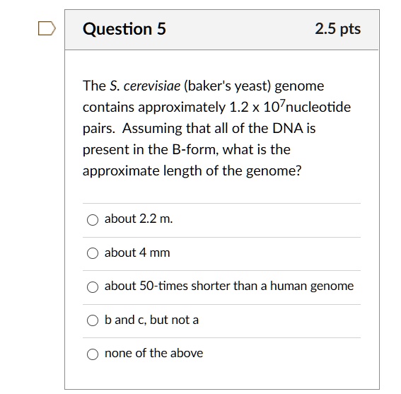 SOLVED Question 5 2.5 pts The S. cerevisiae (baker's yeast) genome contains approximately 1.2 x