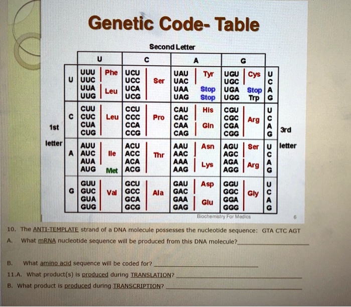 genetic code table second letter uuu phe ucu uuc ucc uua leu uca uug ...