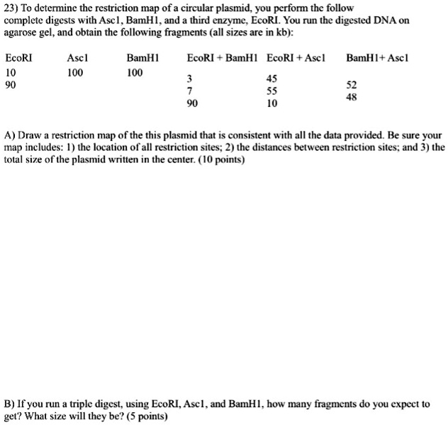 23) To determine the restriction map of a circular plasmid, you perform the follow
complete digests with Asc1, BamH1, and a third enzyme, EcoRI. You run the digested DNA on
agarose gel, and obtain the following fragments (all sizes are in kb):

EcoRI
10
90

Asc1
100

BamH1
100

EcoRI + BamH1
3
7
90

EcoRI + Asc1
45
55
10

BamH1+ Asc1
52
48

A) Draw a restriction map of the this plasmid that is consistent with all the data provided. Be sure your
map includes: 1) the location of all restriction sites; 2) the distances between restriction sites; and 3) the
total size of the plasmid written in the center. (10 points)

B) If you run a triple digest, using EcoRI, Asc1, and BamH1, how many fragments do you expect to
get? What size will they be? (5 points)