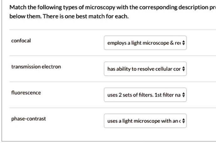 Solved Match The Following Types Of Microscopy With The Corresponding