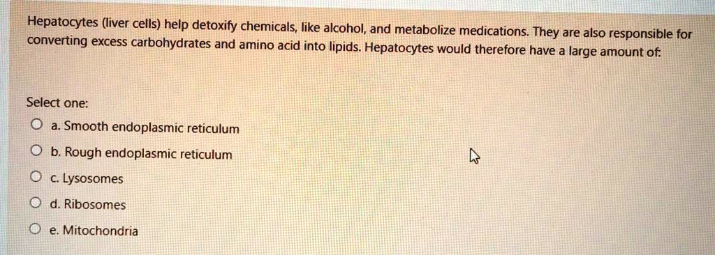 Hepatocytes (liver cells) help detoxify chemicals, like alcohol, and metabolize medications. They are also responsible for
converting excess carbohydrates and amino acid into lipids. Hepatocytes would therefore have a large amount of:
Select one:
a. Smooth endoplasmic reticulum
b. Rough endoplasmic reticulum
c. Lysosomes
d. Ribosomes
e. Mitochondria