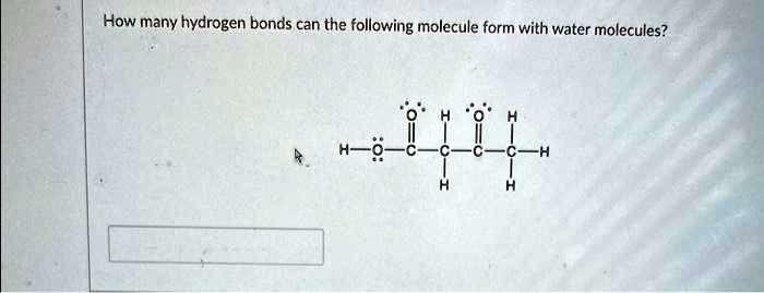 How Many Hydrogen Bonds Can The Following Molecule Form With Water