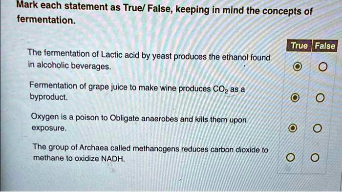 Which Of The Following Statements About Fermentation Is True Mark each statement as True/False, keeping in mind the concepts of
