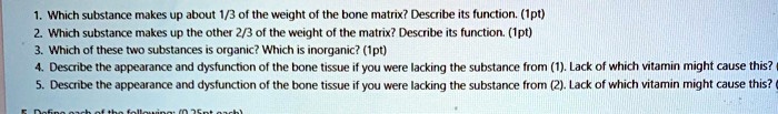1. Which substance makes up about 1/3 of the weight of the bone matrix? Describe its function. (1pt)
2. Which substance makes up the other 2/3 of the weight of the matrix? Describe its function. (1pt)
3. Which of these two substances is organic? Which is inorganic? (1pt)
4. Describe the appearance and dysfunction of the bone tissue if you were lacking the substance from (1). Lack of which vitamin might cause this?
5. Describe the appearance and dysfunction of the bone tissue if you were lacking the substance from (2). Lack of which vitamin might cause this?