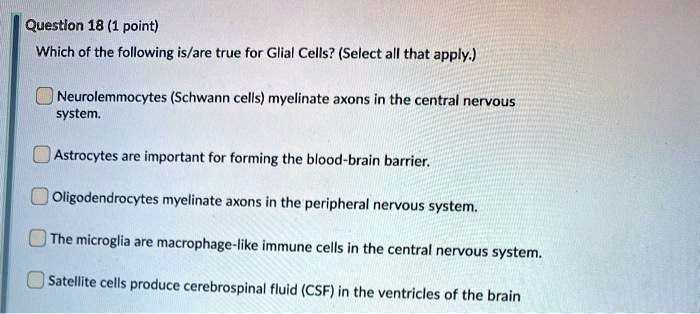 Which of the following is/are true for Glial Cells? (Select all that apply.)

Neurolemmocytes (Schwann cells) myelinate axons in the central nervous system.
Astrocytes are important for forming the blood-brain barrier.
Oligodendrocytes myelinate axons in the peripheral nervous system.
The microglia are macrophage-like immune cells in the central nervous system.
Satellite cells produce cerebrospinal fluid (CSF) in the ventricles of the brain