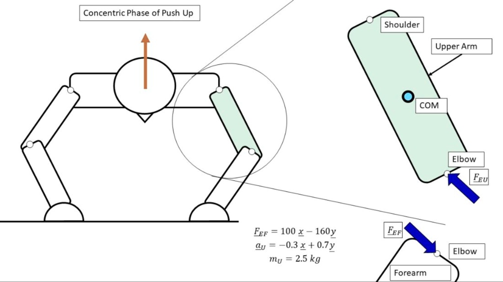 given the elbow joint reaction force acting on the forearm the ...