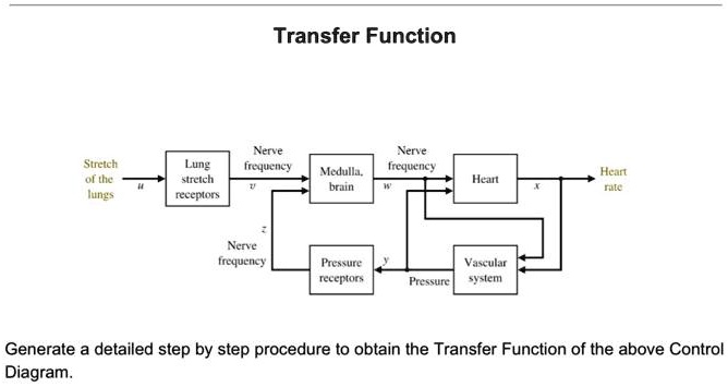 SOLVED: Transfer Function Nerve frequeney a Nerve Medulla, frequency ...
