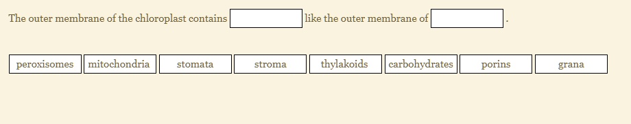 The outer membrane of the chloroplast contains like the outer membrane of . peroxisomes mitochondria stomata stroma thylakoids carbohydrates porins grana